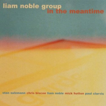 Liam Noble 'In the Meantime'