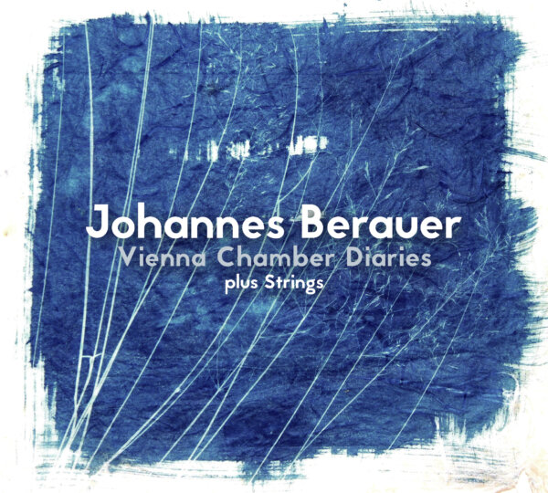 Johannes Berauer Chamber Diaries